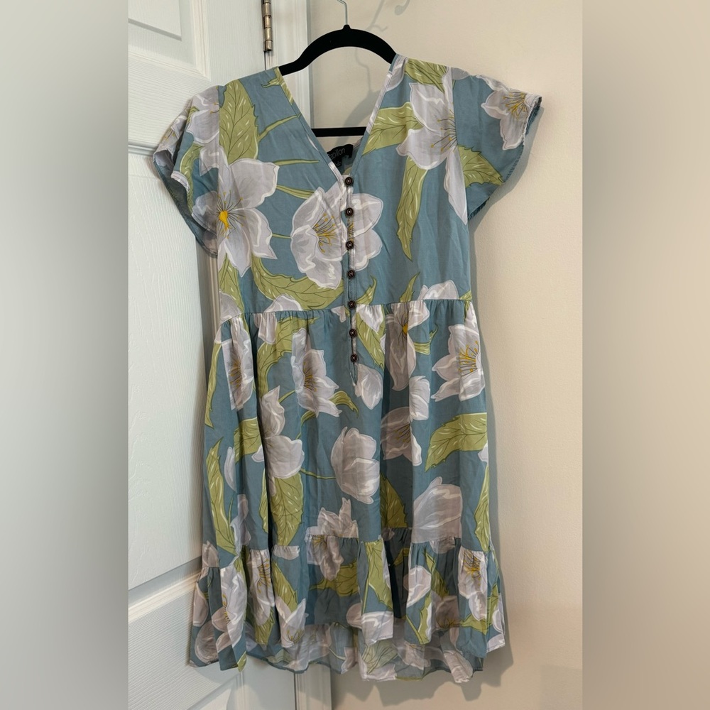 2/$20 Papillon Blanc Floral Dress in Blue and Green babydoll cottagecore fairy L - Picture 1 of 7
